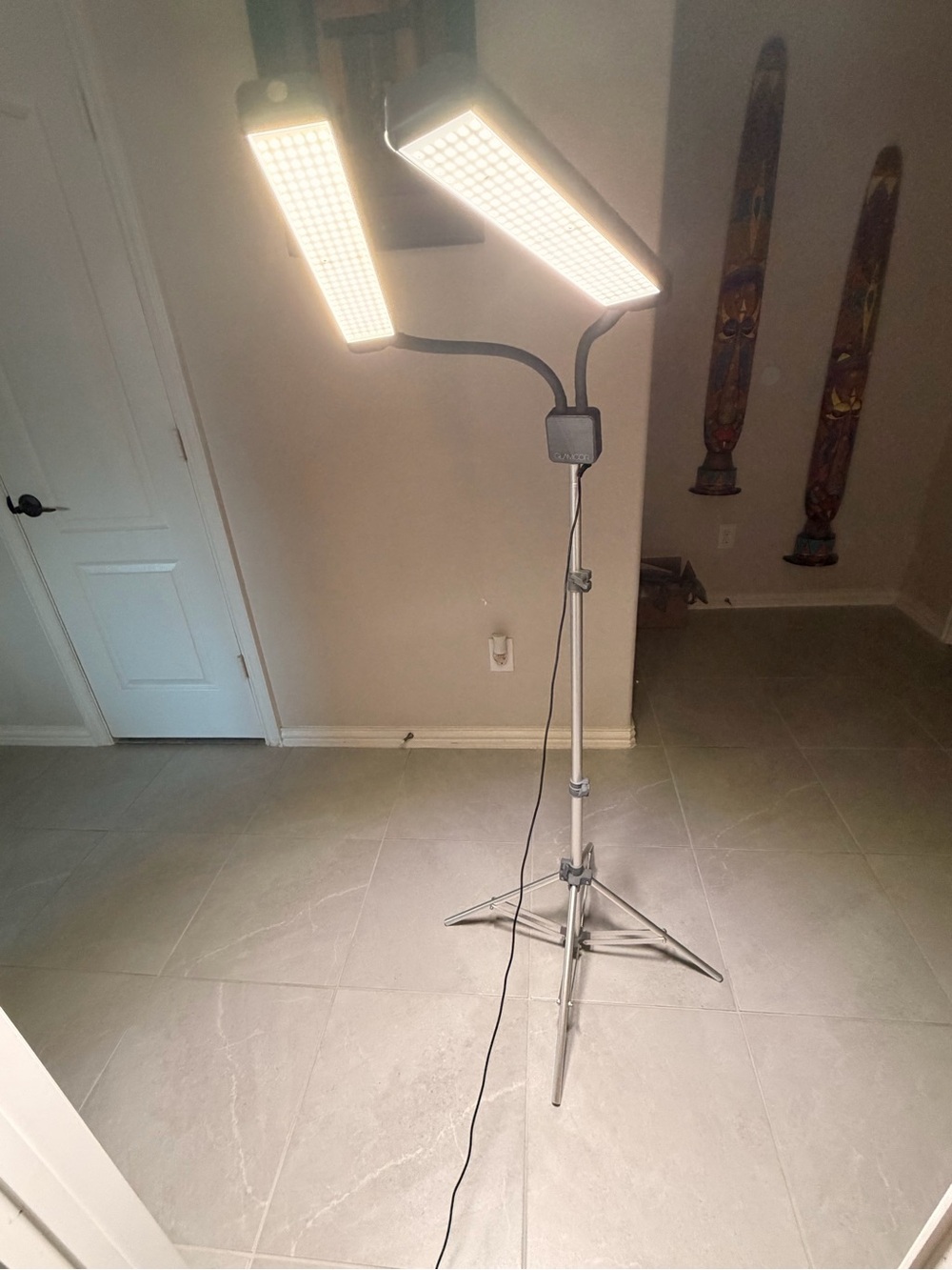 Adjustable LED Photo/Video Floor Light - Silver